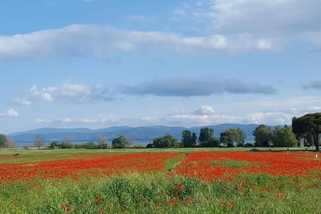 Bellavista La Tua Romantica Vacanza Sul Trasimeno Кастильоне-дель-Лаго Экстерьер фото