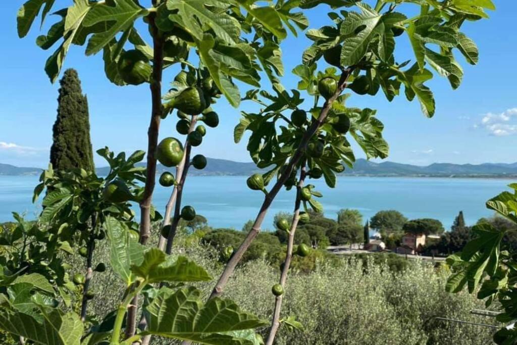 Апартаменты Bellavista La Tua Romantica Vacanza Sul Trasimeno Кастильоне-дель-Лаго Экстерьер фото