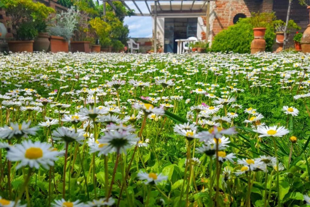 Апартаменты Bellavista La Tua Romantica Vacanza Sul Trasimeno Кастильоне-дель-Лаго Экстерьер фото