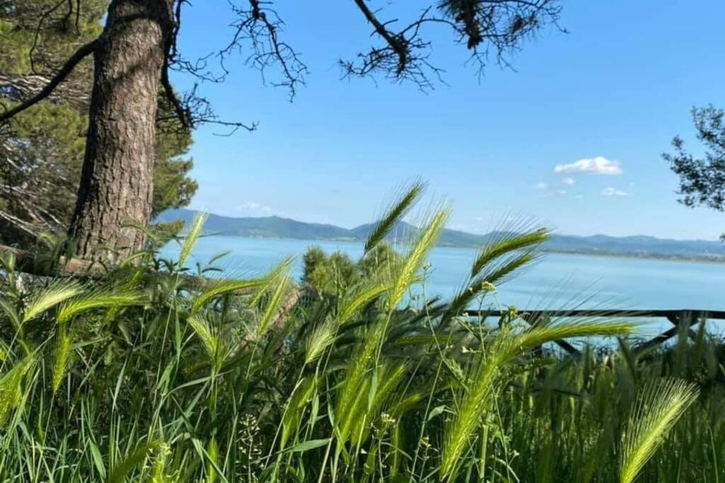 Апартаменты Bellavista La Tua Romantica Vacanza Sul Trasimeno Кастильоне-дель-Лаго Экстерьер фото