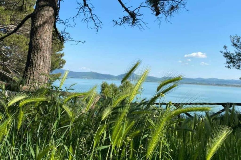 Bellavista La Tua Romantica Vacanza Sul Trasimeno Кастильоне-дель-Лаго Экстерьер фото