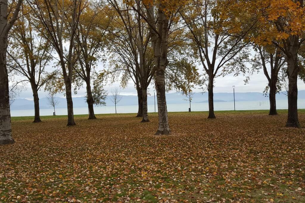 Bellavista La Tua Romantica Vacanza Sul Trasimeno Кастильоне-дель-Лаго Экстерьер фото