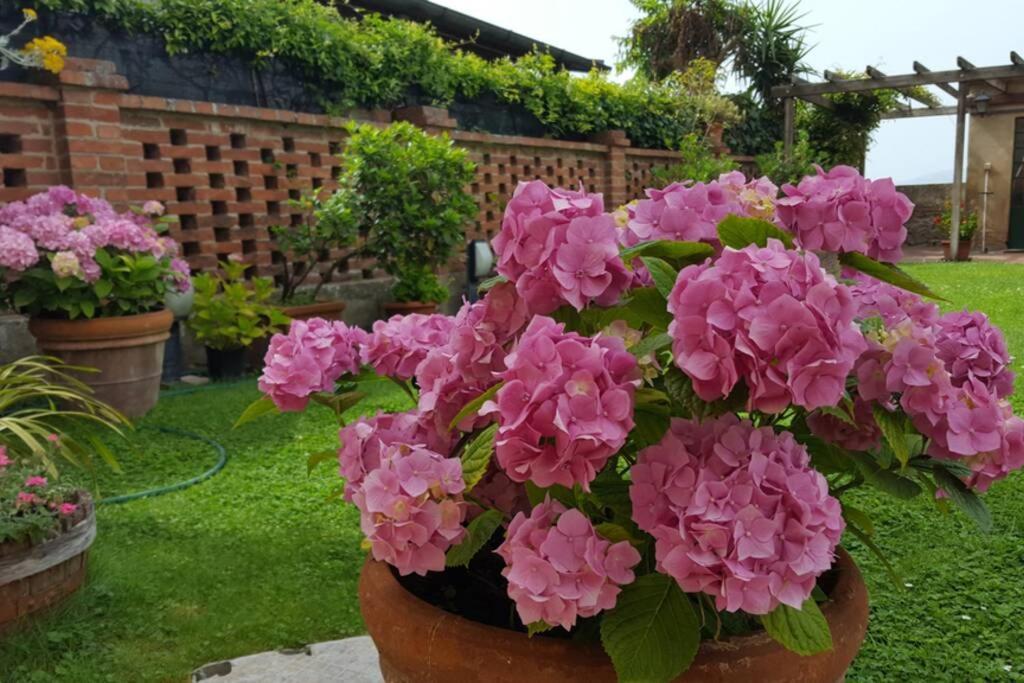 Bellavista La Tua Romantica Vacanza Sul Trasimeno Кастильоне-дель-Лаго Экстерьер фото