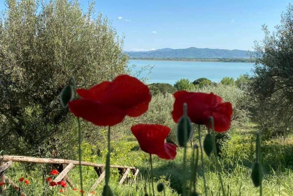 Апартаменты Bellavista La Tua Romantica Vacanza Sul Trasimeno Кастильоне-дель-Лаго Экстерьер фото