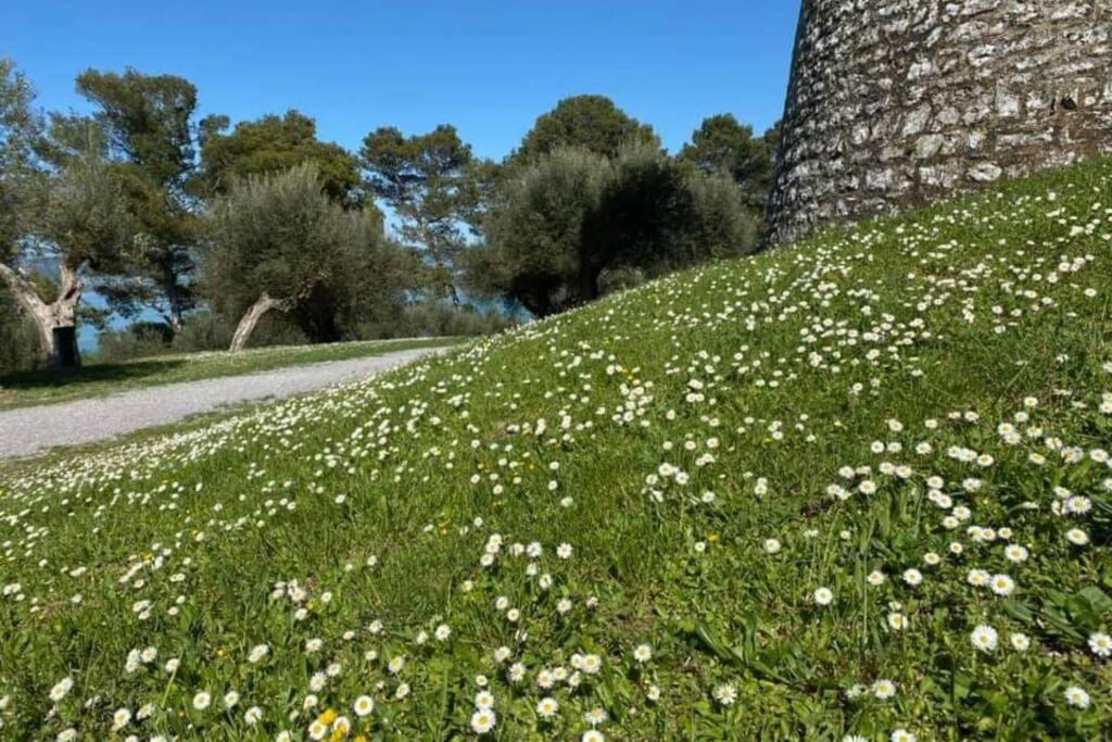 Bellavista La Tua Romantica Vacanza Sul Trasimeno Кастильоне-дель-Лаго Экстерьер фото